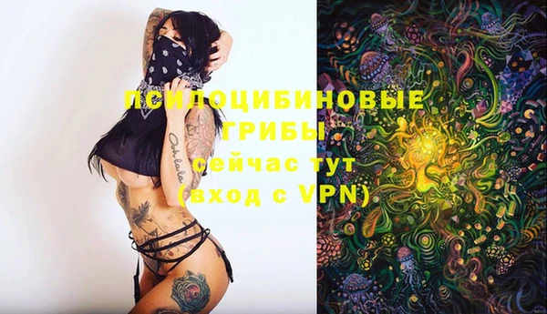 кокаин премиум Магас