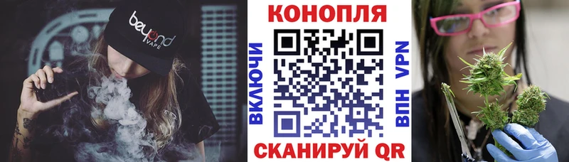 Купить закладки  Менделеевск  Бошки Шишки White Widow 